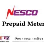 NESCO Prepaid Meter