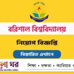 BU Job Circular 2026